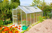 Теплица из поликарбоната: что нужно знать?